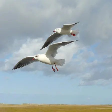 Am Muehlendeich アパート *