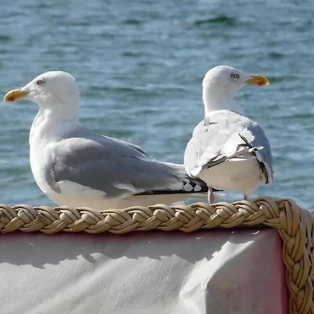 アパート Am Muehlendeich *